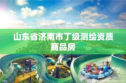 山东省济南市丁级测绘资质商品房