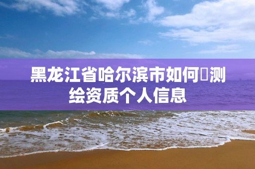 黑龙江省哈尔滨市如何査测绘资质个人信息