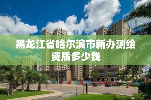 黑龙江省哈尔滨市新办测绘资质多少钱