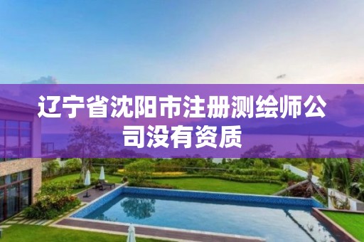 辽宁省沈阳市注册测绘师公司没有资质