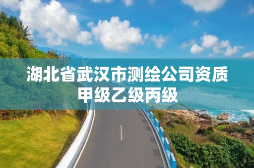 湖北省武汉市测绘公司资质甲级乙级丙级