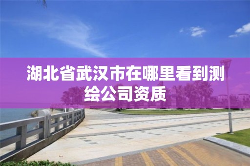 湖北省武汉市在哪里看到测绘公司资质