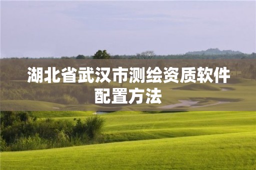 湖北省武汉市测绘资质软件配置方法