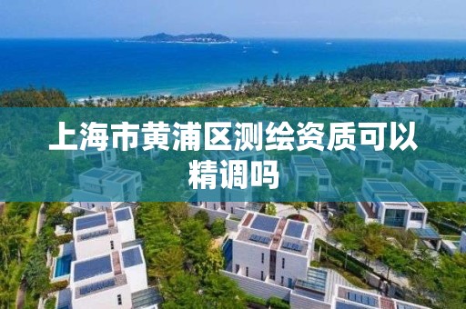 上海市黄浦区测绘资质可以精调吗