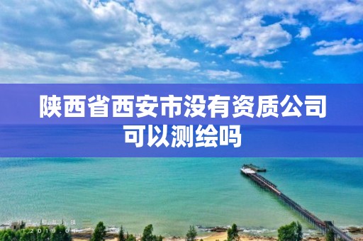 陕西省西安市没有资质公司可以测绘吗