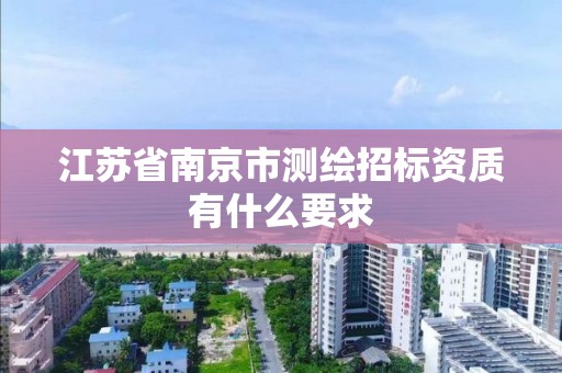 江苏省南京市测绘招标资质有什么要求