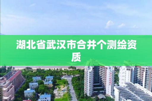 湖北省武汉市合并个测绘资质