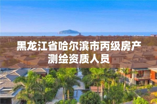 黑龙江省哈尔滨市丙级房产测绘资质人员