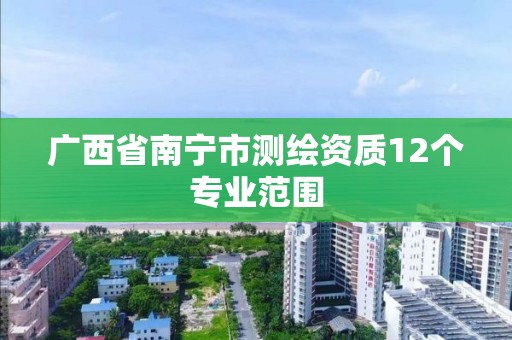 广西省南宁市测绘资质12个专业范围