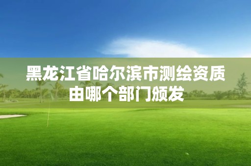 黑龙江省哈尔滨市测绘资质由哪个部门颁发