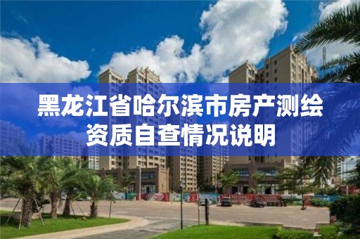 黑龙江省哈尔滨市房产测绘资质自查情况说明