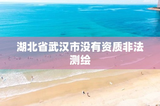 湖北省武汉市没有资质非法测绘