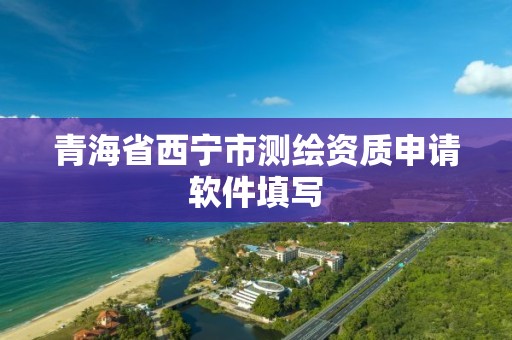 青海省西宁市测绘资质申请软件填写