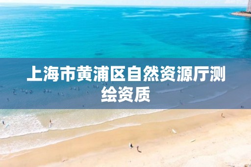 上海市黄浦区自然资源厅测绘资质