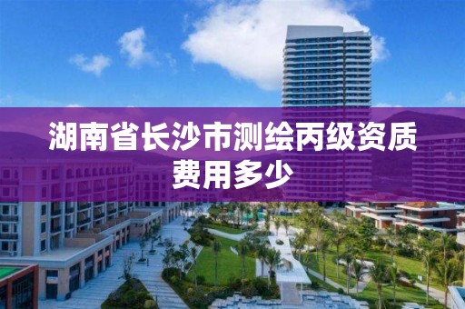 湖南省长沙市测绘丙级资质费用多少