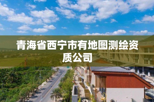 青海省西宁市有地图测绘资质公司