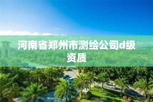 河南省郑州市测绘公司d级资质