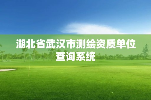 湖北省武汉市测绘资质单位查询系统