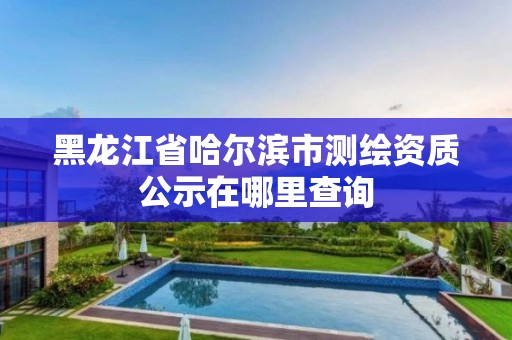 黑龙江省哈尔滨市测绘资质公示在哪里查询