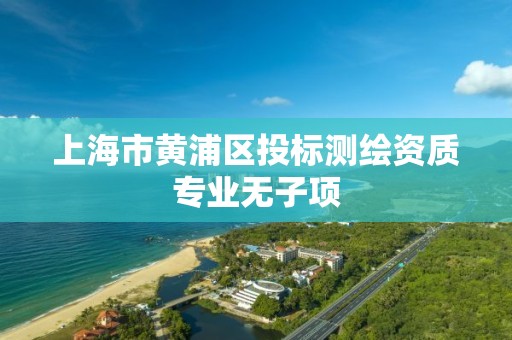 上海市黄浦区投标测绘资质专业无子项