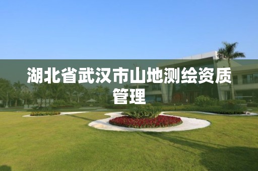 湖北省武汉市山地测绘资质管理