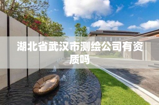 湖北省武汉市测绘公司有资质吗