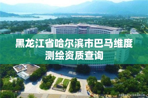 黑龙江省哈尔滨市巴马维度测绘资质查询