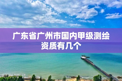 广东省广州市国内甲级测绘资质有几个