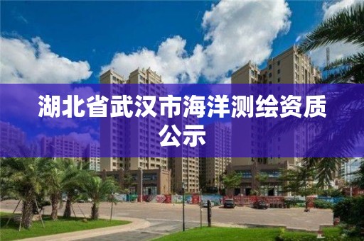 湖北省武汉市海洋测绘资质公示