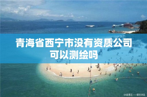 青海省西宁市没有资质公司可以测绘吗