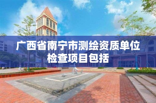 广西省南宁市测绘资质单位检查项目包括