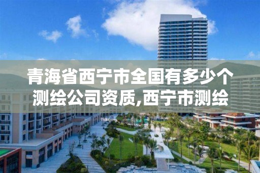 青海省西宁市全国有多少个测绘公司资质,西宁市测绘局2020招聘