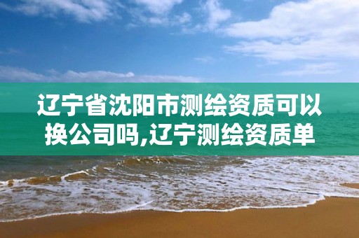 辽宁省沈阳市测绘资质可以换公司吗,辽宁测绘资质单位