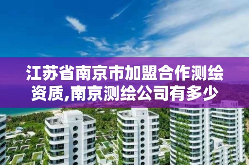 江苏省南京市加盟合作测绘资质,南京测绘公司有多少家