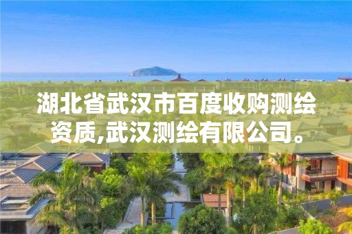 湖北省武汉市百度收购测绘资质,武汉测绘有限公司。