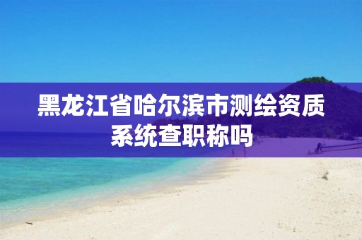 黑龙江省哈尔滨市测绘资质系统查职称吗