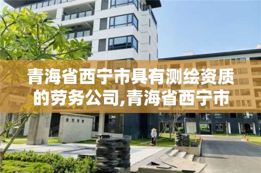 青海省西宁市具有测绘资质的劳务公司,青海省西宁市具有测绘资质的劳务公司有哪些。