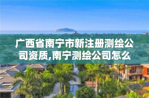 广西省南宁市新注册测绘公司资质,南宁测绘公司怎么收费标准