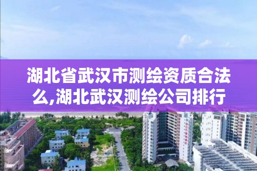 湖北省武汉市测绘资质合法么,湖北武汉测绘公司排行榜