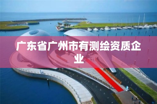 广东省广州市有测绘资质企业