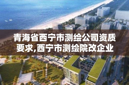 青海省西宁市测绘公司资质要求,西宁市测绘院改企业