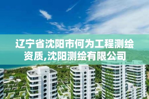 辽宁省沈阳市何为工程测绘资质,沈阳测绘有限公司