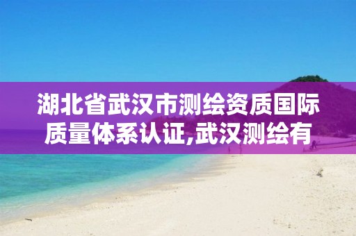 湖北省武汉市测绘资质国际质量体系认证,武汉测绘有限公司。