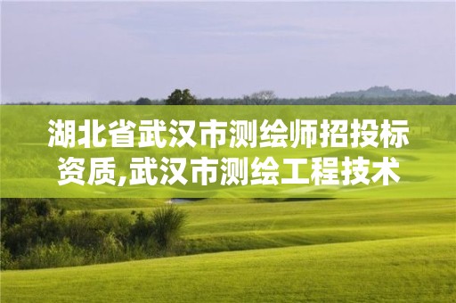 湖北省武汉市测绘师招投标资质,武汉市测绘工程技术规定