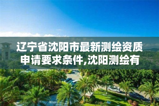 辽宁省沈阳市最新测绘资质申请要求条件,沈阳测绘有限公司