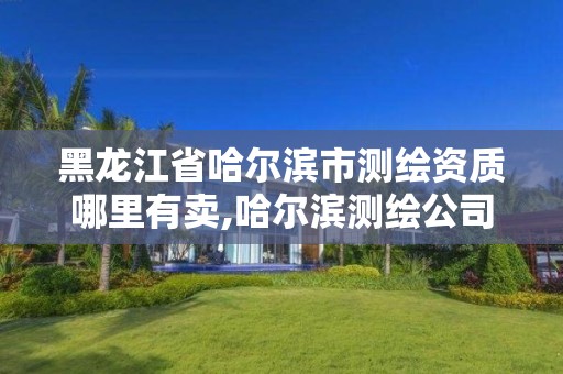 黑龙江省哈尔滨市测绘资质哪里有卖,哈尔滨测绘公司哪家好