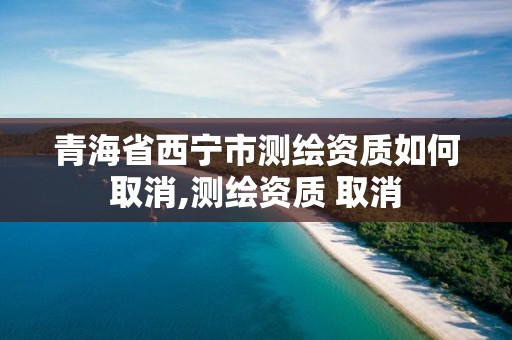 青海省西宁市测绘资质如何取消,测绘资质 取消