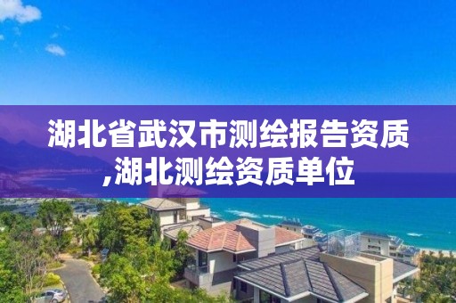 湖北省武汉市测绘报告资质,湖北测绘资质单位