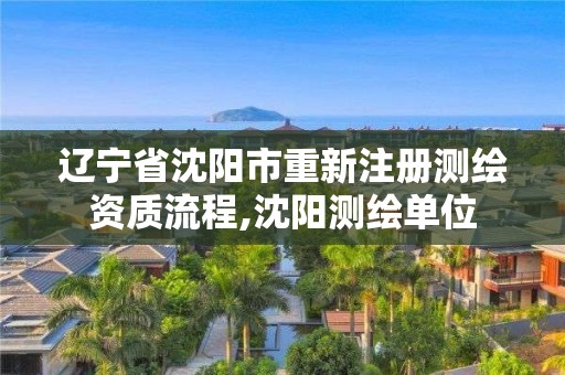 辽宁省沈阳市重新注册测绘资质流程,沈阳测绘单位