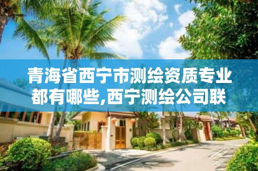 青海省西宁市测绘资质专业都有哪些,西宁测绘公司联系方式